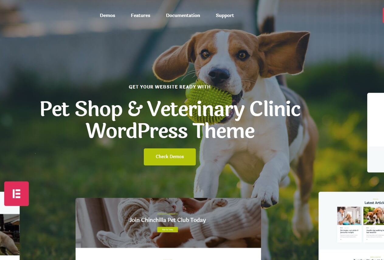Chinchilla - Animal Care & Pet Shop WordPress Theme Chinchilla - Animal Care & Pet Shop WordPress Theme